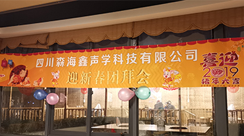 不忘初心·砥砺前行｜森海鑫2019年新春团拜会